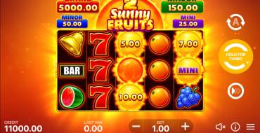 Sunny Fruits 2: Hold and Win: Máquina tragaperras