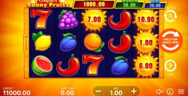 Frutas Super Sunny: Hold and Win