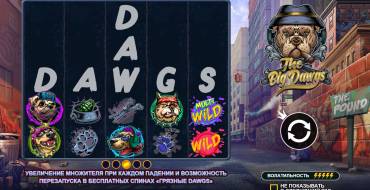 The Big Dawgs: Diseño