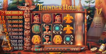 ThunderHawk: Características únicas