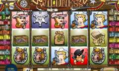 Jugar Western Wilderness