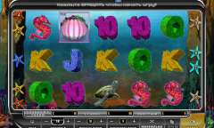 Jugar Wild Dolphins