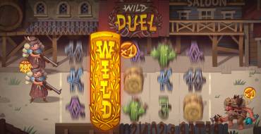 Wild Duel: Características únicas