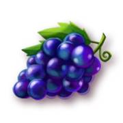 Wild Fruit Jam: Uvas