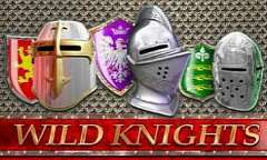 Jugar Wild Knights