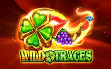 Wild Traces tragamonedas online