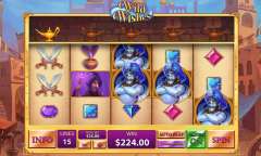 Jugar Wild Wishes