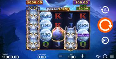 Wolf Land: Hold and Win: Máquina tragaperras