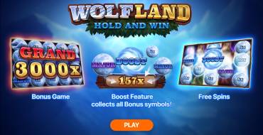 Wolf Land: Hold and Win: Características únicas