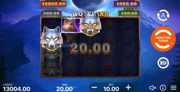 Wolf Land: Hold and Win: Ganancias