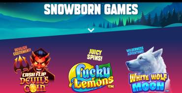 Snowborn Games: Página web